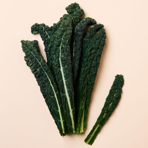 Organic Tuscan Kale