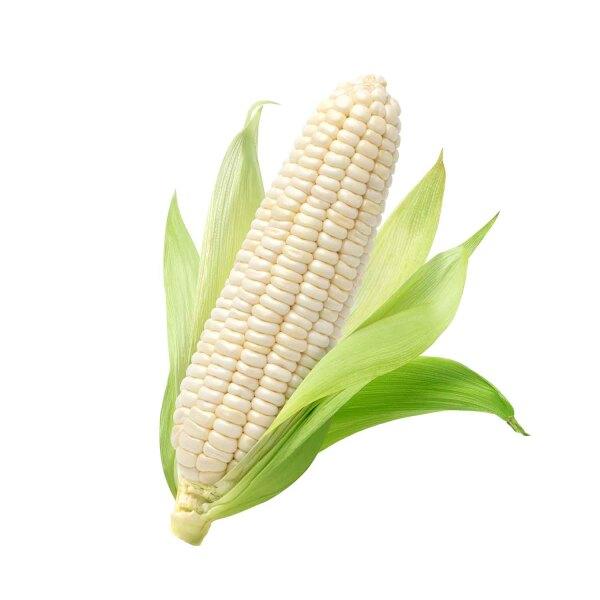 Corn