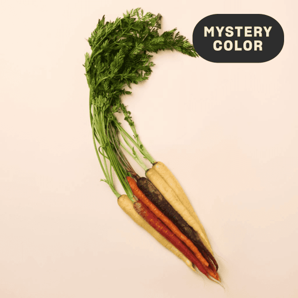 Organic Mystery Bunched Carrots